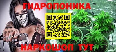 шишки Балаково