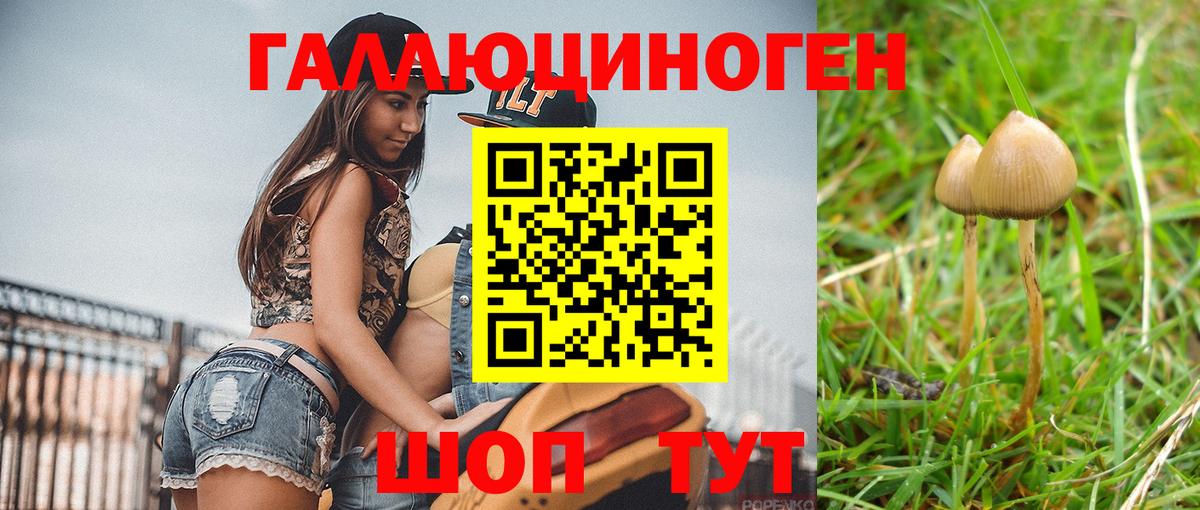 Псилоцибиновые грибы ЛСД  Вход с VPN  Галлюциногенные грибы Magic Shrooms  Джанкой 